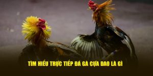 Tìm hiểu Trực tiếp đá gà cựa dao nghĩa là gì